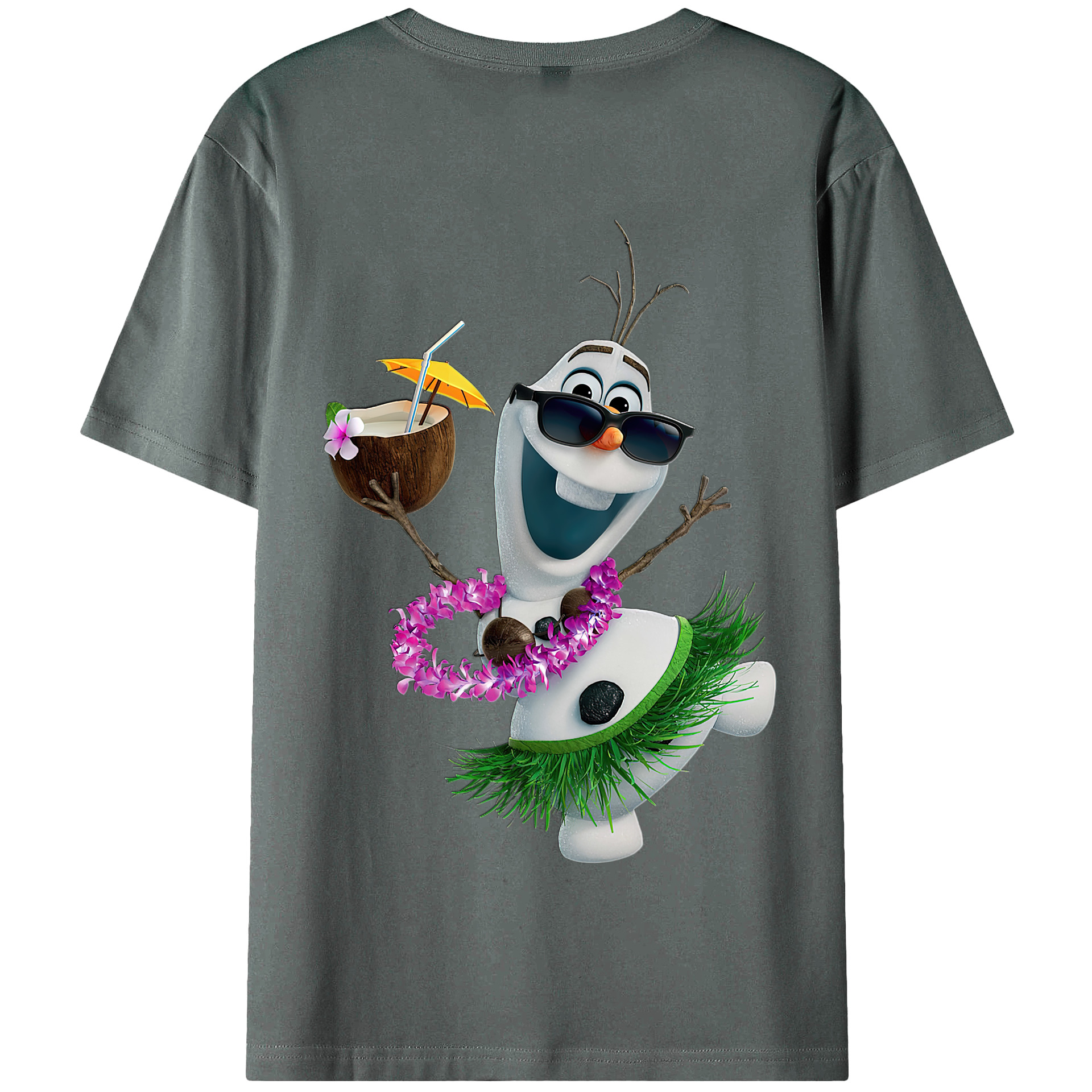 （画像用） アナと雪の女王 アンナ エルサ Frozen Anna Elsa 綿100％半袖Tシャツ（背面プリント）
